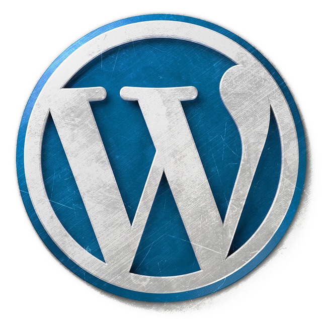 Website, wordpress zaandam, Webdesign zaandam, website bouwen zaandam, website ontwerp zaandam